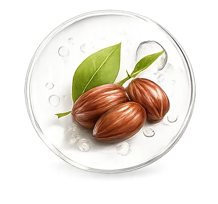 Jojoba Seed Oil
